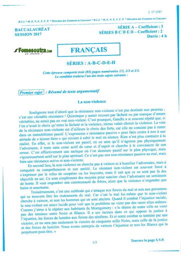Bac a b c d e h français 2017 by TEHUA