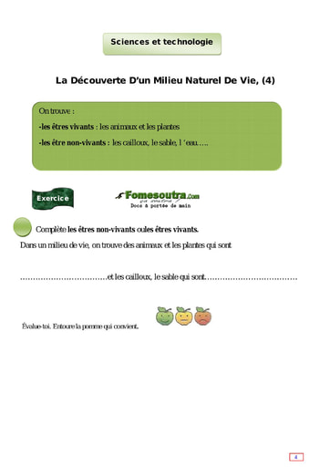 La Découverte D’un Milieu Naturel De Vie (4) - Cours CE1
