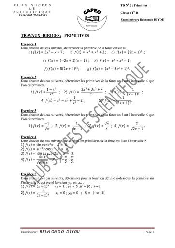 Travaux dirigés Maths Primitive Tle D by Tehua