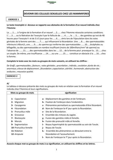 EXERCICES SVT Tle D SUR CELLULES SEXUELLES CHEZ LES MAMMIFERES BY TEHUA