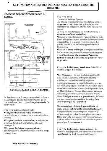 Resumé de cours FONCTIONNEMENT DES ORGANES SEXUELS CHEZ L'HOMME by Tehua