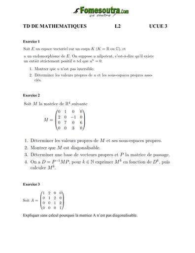 UFHB de Cocody Sujet OPTIMISATION Complet TD Math L2 ECUE 3  by TEHUA