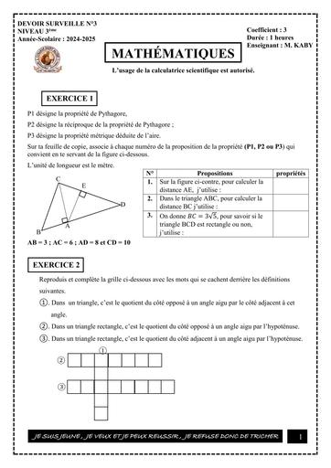 Devoir Maths 3ème (Triangle rectangle) 2024-2025