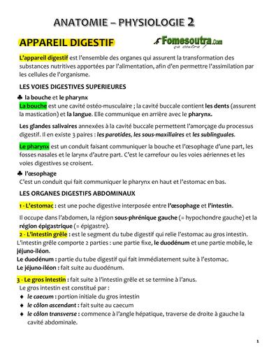 COURS resumé ANATOMIE physiologique 2 INFAS by TEHUA