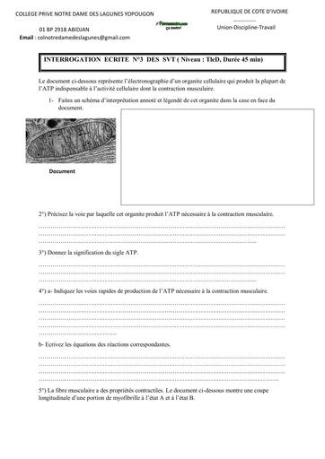 Sujet Tle D INTERROGATION Écrite  SVT Tle D MUSCLE By Tehua