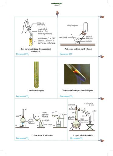 CAHIER CHIMIE Tle CDE P 170 ALDEHYDE, ESTHER ET SAPO by TEHUA