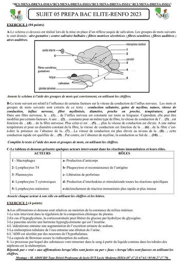 Sujet 05 prepa BAC elite renfo 2023 by Tehua