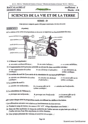 SUJET BAC 2024 SVT SERIE D BY TEHUA
