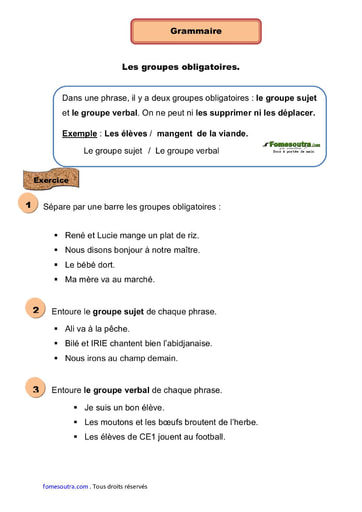 Les groupes obligatoires - Cours CE1