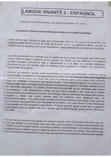 Devoir LV2 espagnol 1iere A by Tehua