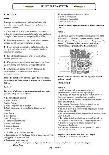 PREPA BAC 2024 SUJET TD SVT by Tehua