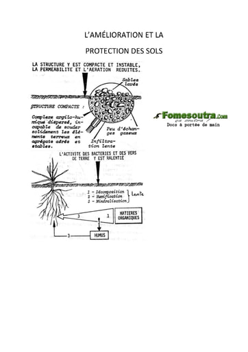 Compile 3 de Schemas de cours de SVT Terminale D