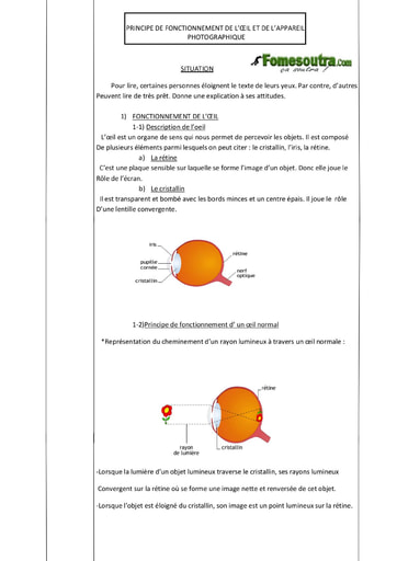 Fonctionnement de l’œil et de l'appareil photographique - Physique 3eme