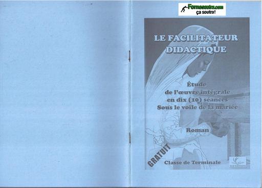 FACILITATEUR SOUS LE VOILE DE LA MARIEE BY TEHUA