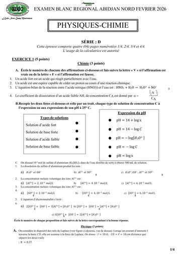 BAC BLANC FEVRIER 2026 DRENA ABIDJAN NORD SUJET PC SERIE D (SUJET) by TEHUA