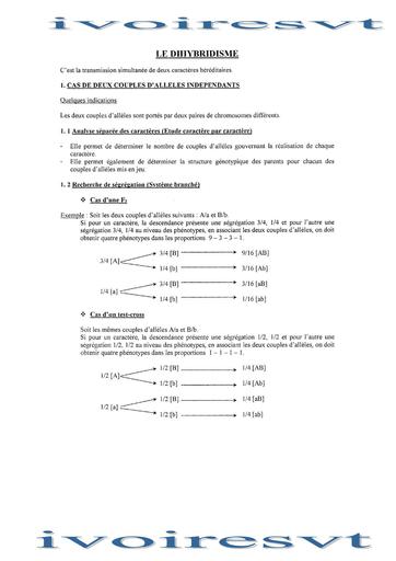 Dihybridisme Tle D