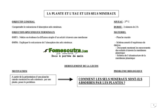 La plante, l'eau et les sels minéraux - SVT 2nd C