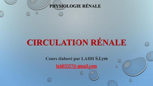 COURS Circulation rénale 2nd year by TEHUA