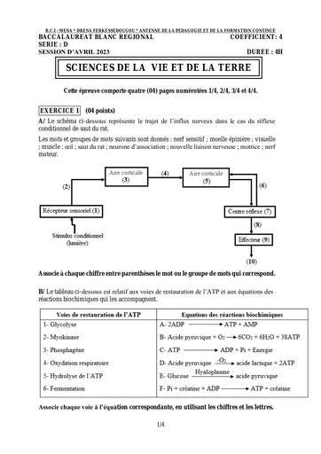 SVT BAC blanc Ferké sujet+barème 2023 by Tehua