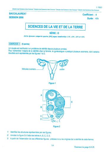 bac-d-svt-2008.pdf