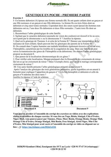 PREPA BAC SVT SERIE D GENETIQUE EN POCHE by TEHUA