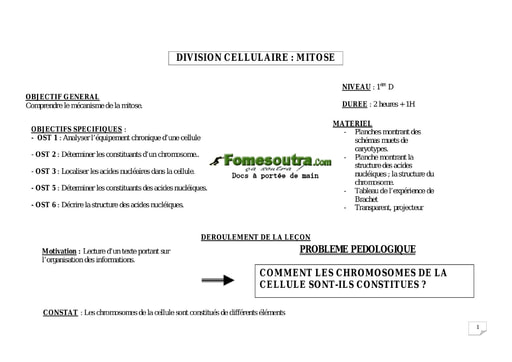 Division cellulaire: mitose chromosomes - SVT 1ère D