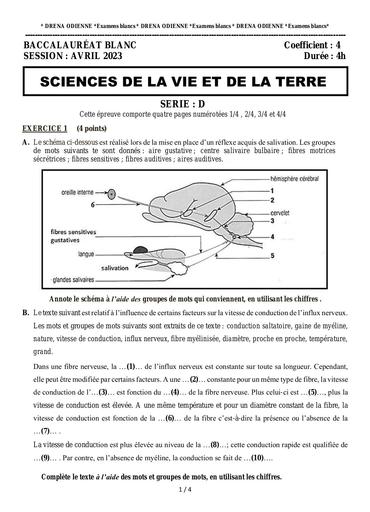SUJET BAC Blanc SERIE D SVT (Odienne 2023) by Tehua