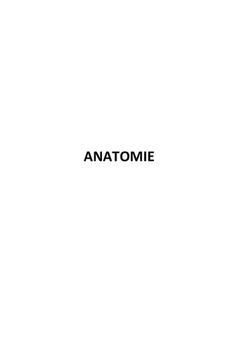 sujet anatomie by Tehua.pdf