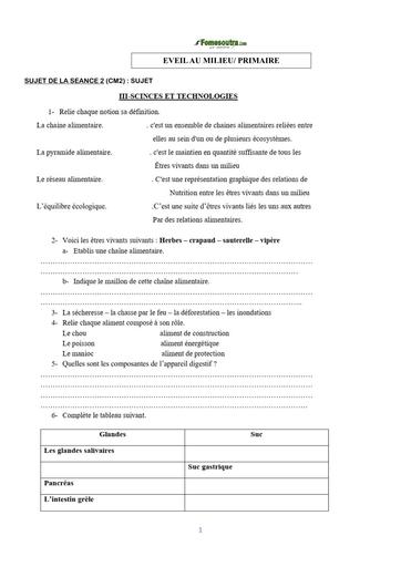 COURS DE VACANCES PRIMAIRE EVEIL AU MILIEU SUJET 1B CM BY TEHUA