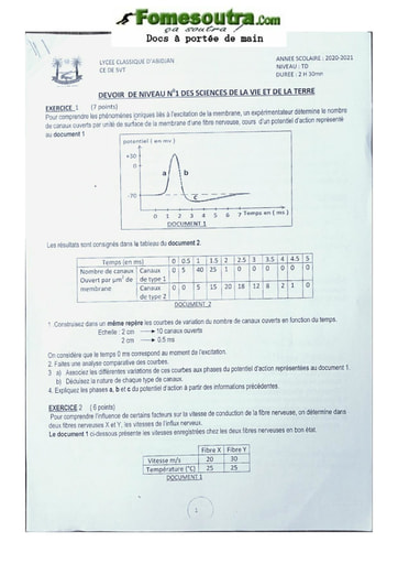 Devoir Mathématiques Terminale D 2020-2021