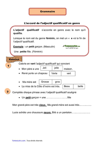 L’accord de l’adjectif qualificatif en genre - Cours CE1