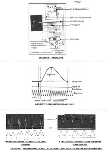 SVT SUPPORTS FONCTIONNEMENT DU M S S by TEHUA