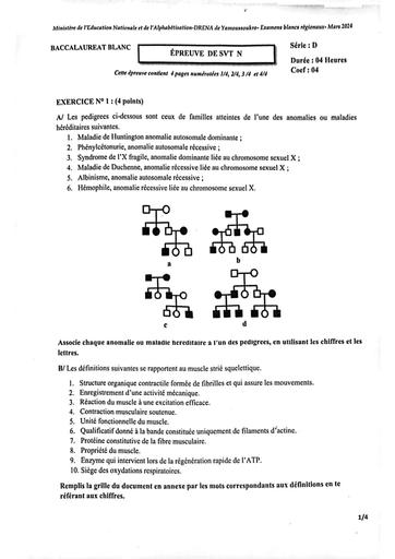 BAC BLANC serie D SVT YAKRO 24 by Tehua
