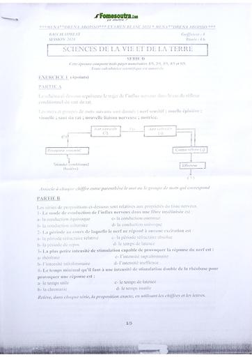 Bac blanc 2024 SVT serie D dren Aboisso by Tehua