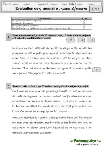 Evaluation de grammaire (1) : natures et fonctions - Niveau CM1