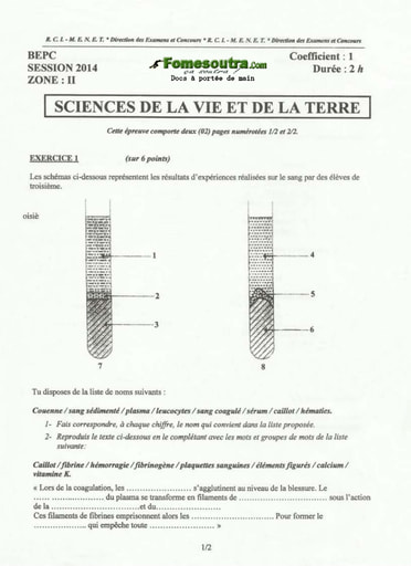 Sujet de SVT BEPC 2014 zone 2