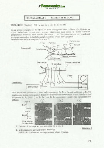 Sujet de SVT BAC D 2002