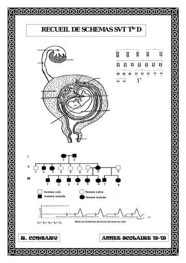 RECUEIL DE SCHEMAS SVT Tle D