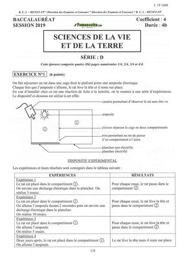 Bac d svt 2019 by TEHUA