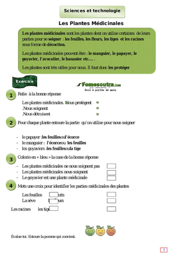 Les Plantes Médicinales - Cours CE1
