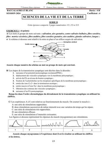 BAC Blanc 2024 SVT SÉRIE D Sujet By Tehua
