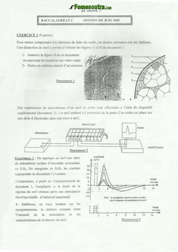 Sujet de SVT BAC C 2005