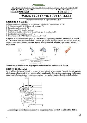 SUJET BEPC BLANC 2024 SVT dren Abidjan 3 by Tehua