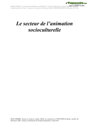 Le secteur de l'animation socioculturelle