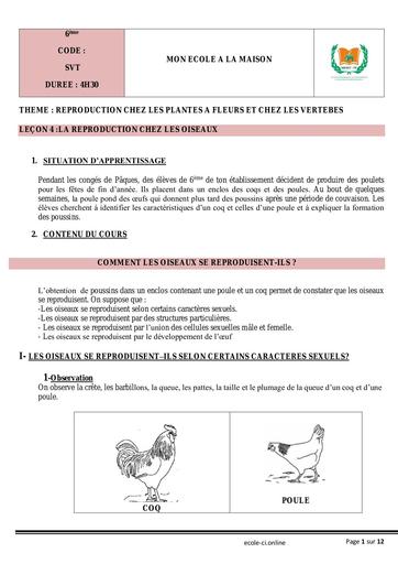 SVT 6ème L4 La reproduction chez les oiseaux