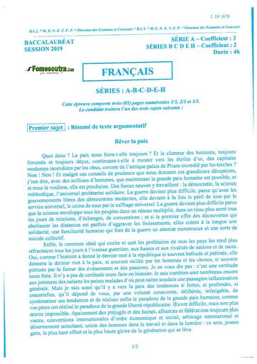 Bac a b c d e h français 2019 by TEHUA