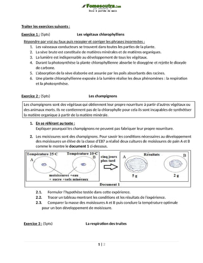 Devoir de SVT 6eme