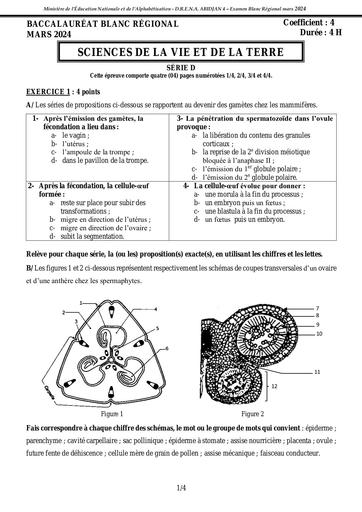 3 1 EPREUVE SVT SERIE D EBR 2024 dren Abidjan 4 by Tehua
