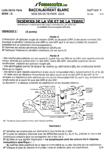 Sujet de SVT BAC blanc 2014 série D Lycée Sainte Marie de Cocody