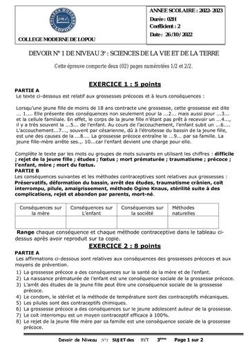 DEVOIR de Niveau N°1  de 3eme by Tehua.pdf